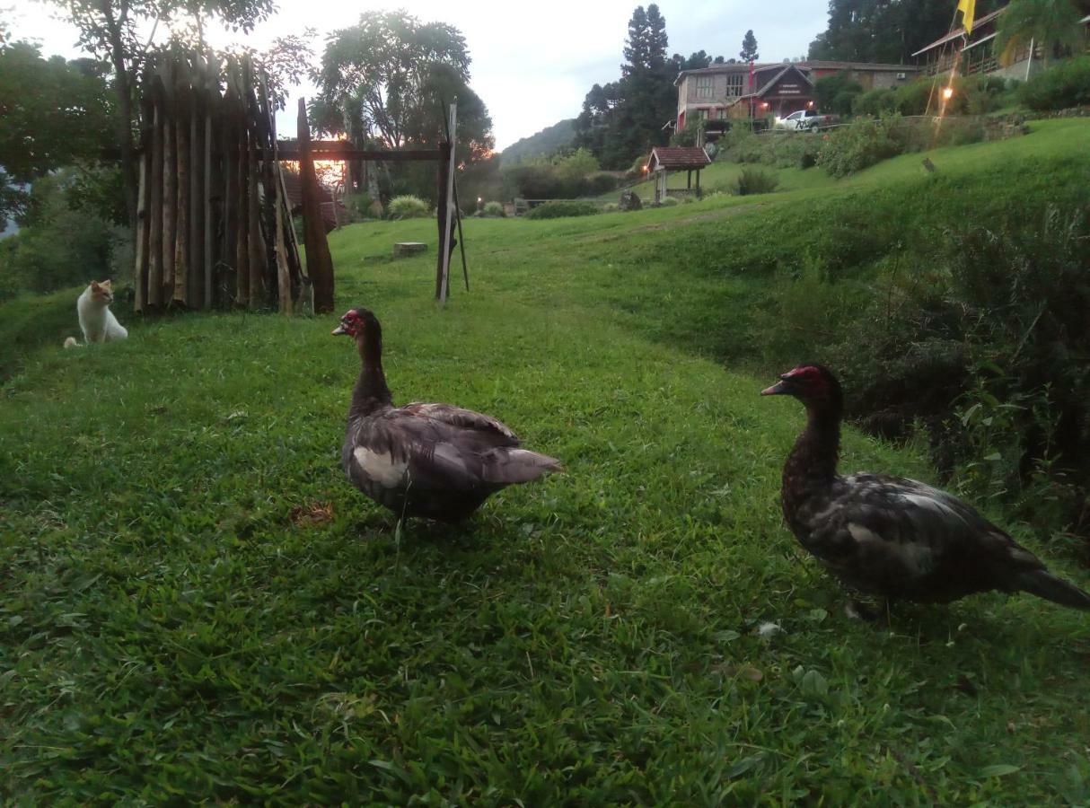Estalagem Reserva Da Collina Gramado Bagian luar foto